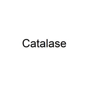 Catalase