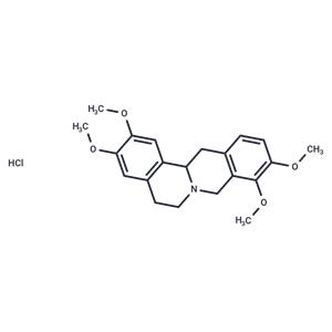 Tetrahydropalmatine