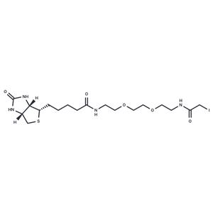 Biotin-PEG2-C2-iodoacetamide