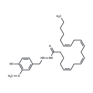 OMDM-6