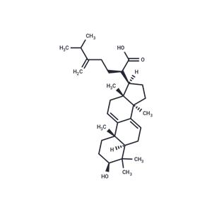 Dehydrotrametenolic acid