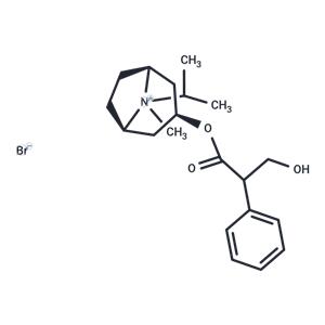 Ipratropium Bromide