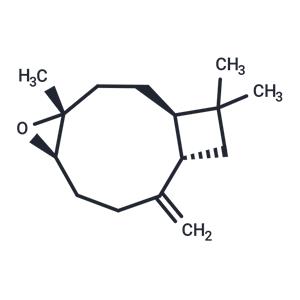 Caryophyllene oxide