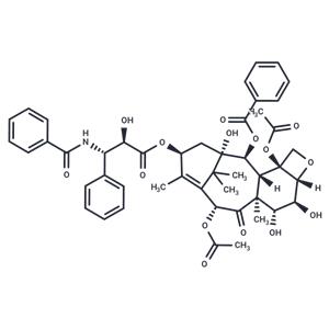 6α-hydroxy Paclitaxel