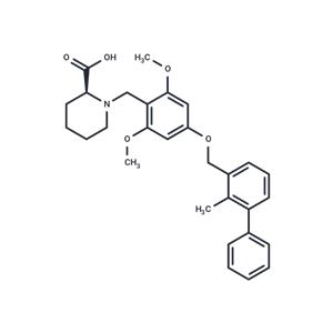 BMS-1