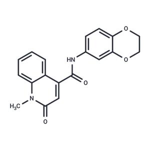 CeMMEC13