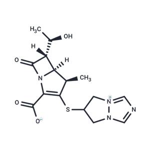 Biapenem