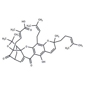 Gambogic Acid