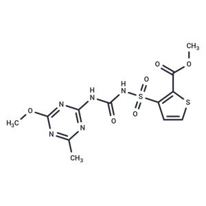 Thifensulfuron-methyl