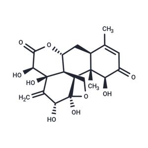 EURYCOMANONE