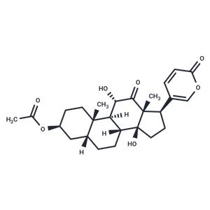 Acetylarenobufagin