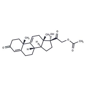 Anecortave Acetate