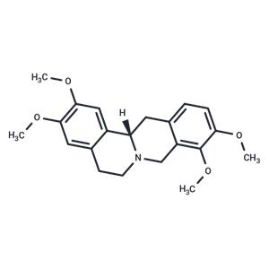 Rotundine