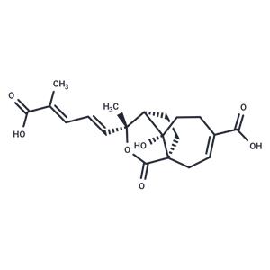 Demethoxydeacetoxypseudolaric acid B