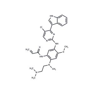 Mutant EGFR inhibitor