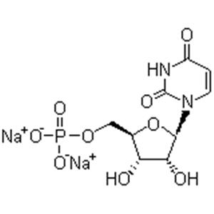 5’-Uridine monophosphate disodium salt;UMP;UMP-Na2