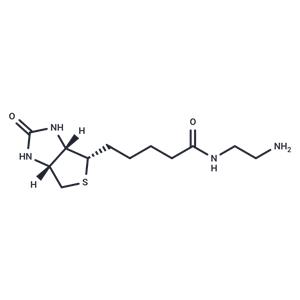 Biotin-EDA