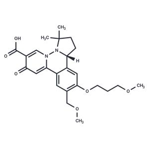 HBV-IN-19