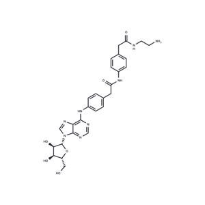 Adenosine amine congener