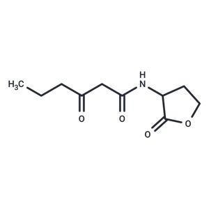 N-(Ketocaproyl)-DL-homoserine lactone