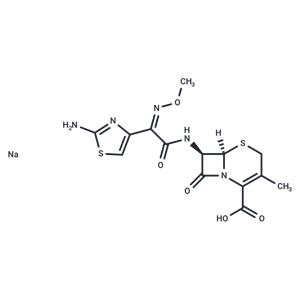 Cefetamet sodium