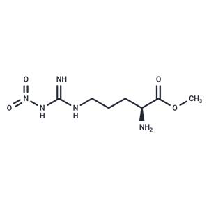 NG-Nitroarginine methyl ester