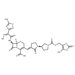 Ceftobiprole medocaril