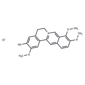 Jatrorrhizine chloride