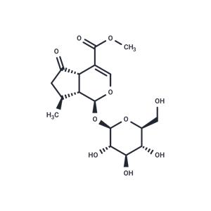 Verbenalin