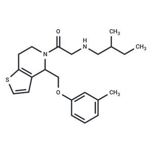 RU-SKI 43