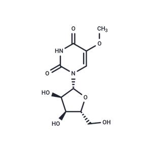 5-Methoxyuridine