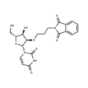 2’-O-Phthalimidopropyl uridine