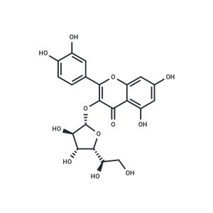 Isotrifoliin