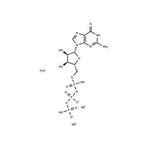 Guanosine-5'-triphosphate disodium salt