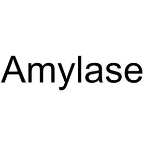 Amylase