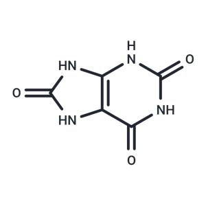 Uric Acid