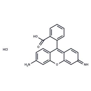 Rhodamine 110