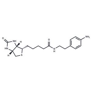 Biotin-aniline