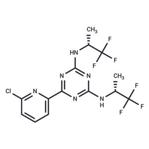 Vorasidenib