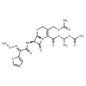 Cefuroxime axetil