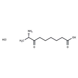 KAPA (hydrochloride)