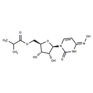 Molnupiravir