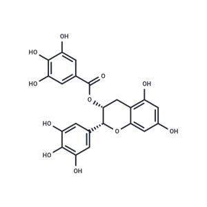 (-)-Epigallocatechin Gallate