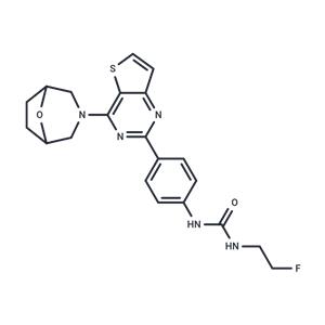 mTOR inhibitor 9c