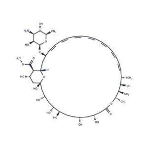 Amphotericin B methyl ester