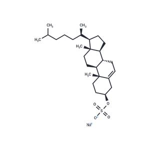 Cholesteryl sulfate sodium