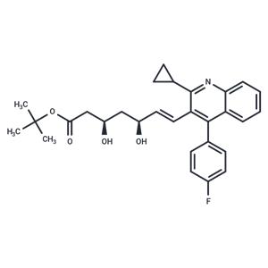 Tert-Buthyl Pitavastatin