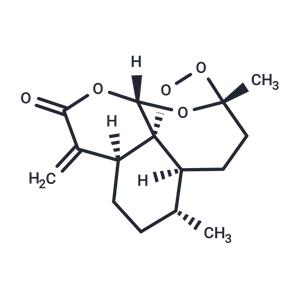 Artemisitene