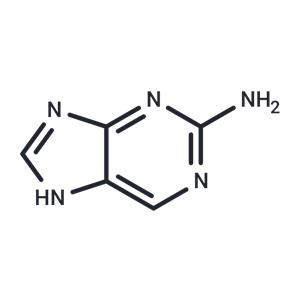 2-Aminopurine