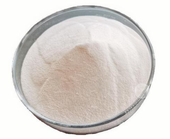 Fenofibric Acid